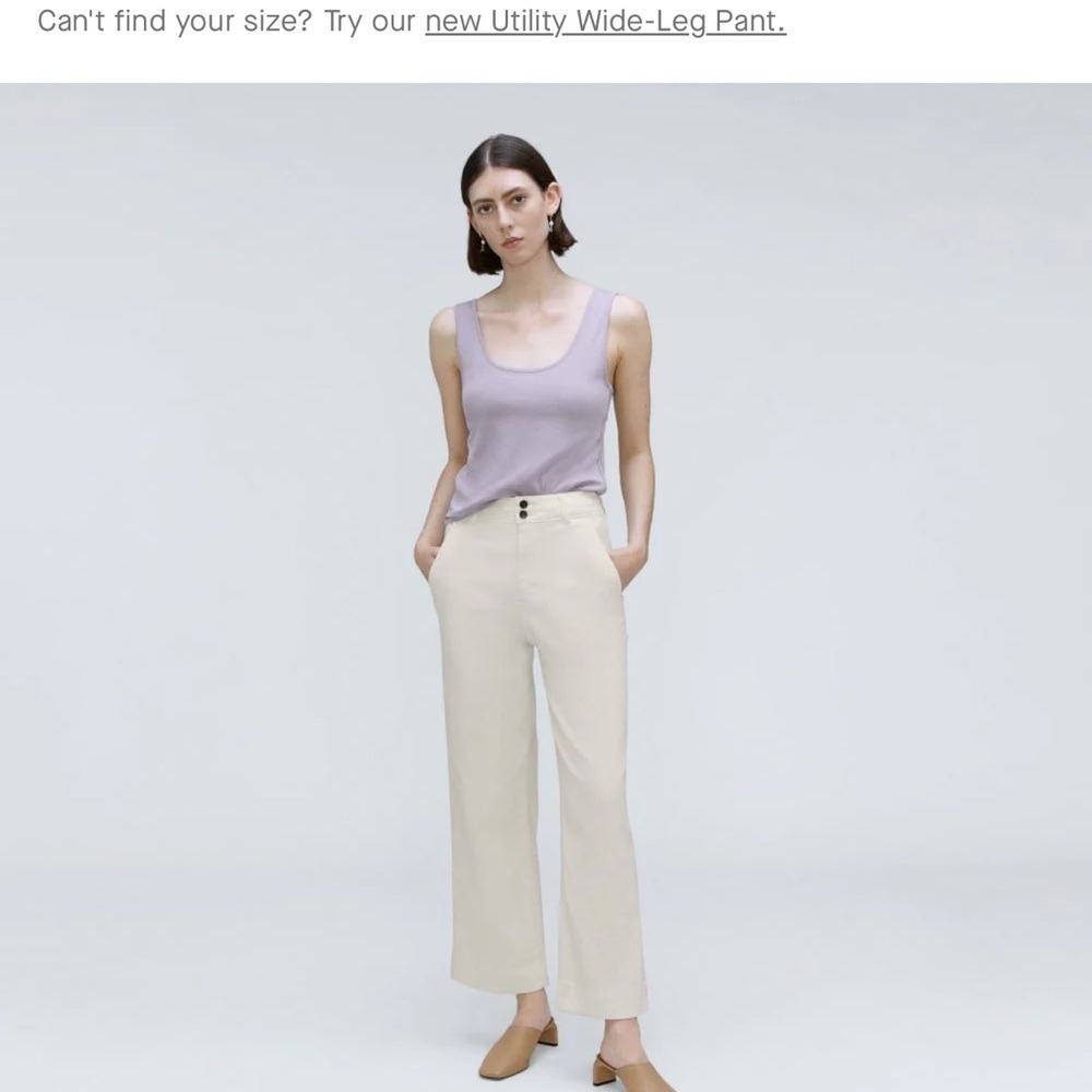 Everlane Cream Twill Wide Leg Pant in Bone size 2 NWT